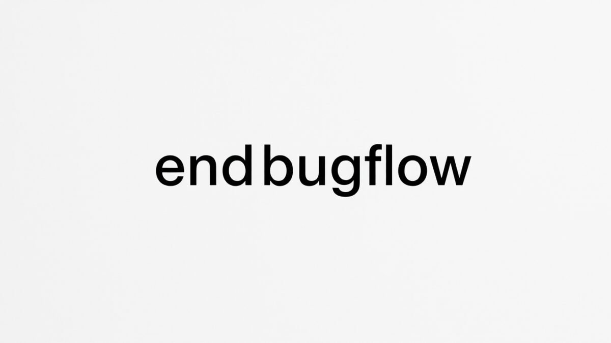 endbugflow